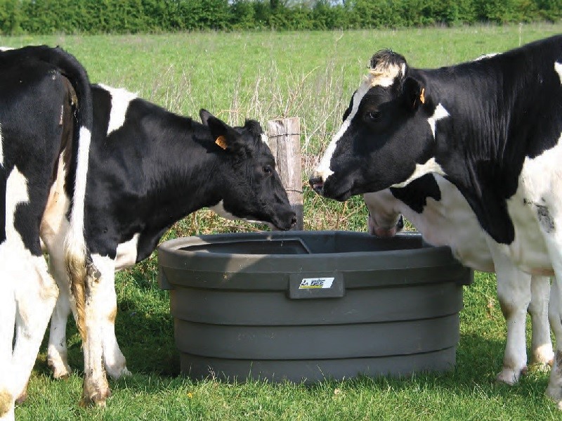 Pastevní napájecí nádrž SUPERBAC 1000 l oválná pro skot a koně