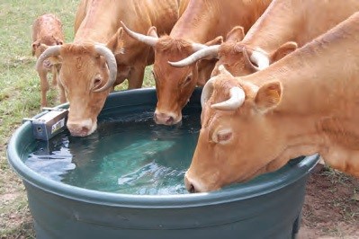 Pastevní napájecí nádrže ECO 1000 l kulaté pro skot a koně