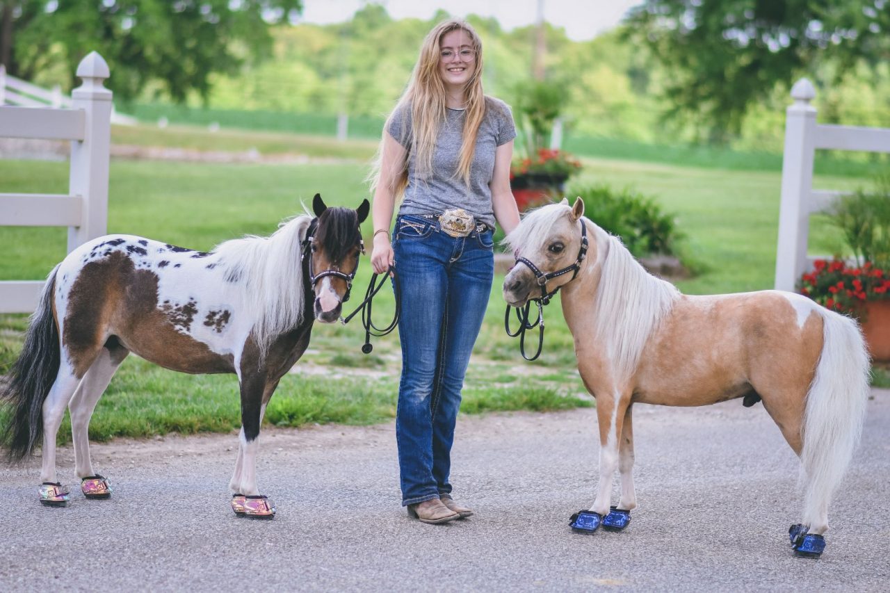 Boty pro koně Cavallo CLB - modré