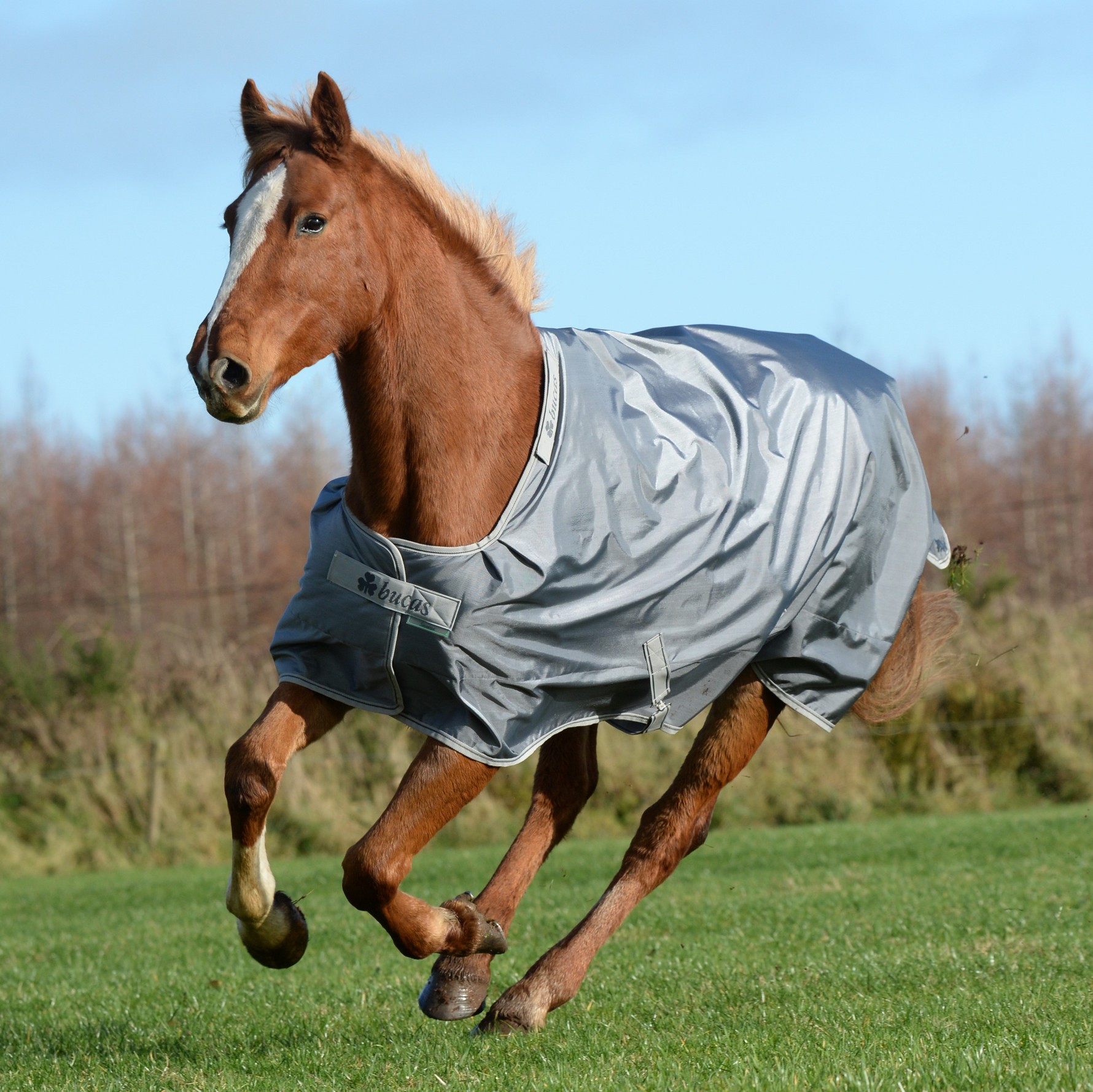Deka výběhová Bucas Smartex Extra