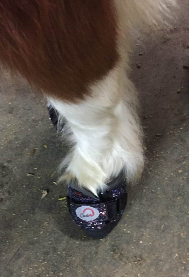 Boty pro koně Cavallo CLB