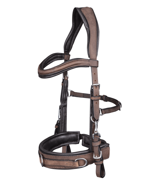 Anatomický lonžovací obnosek