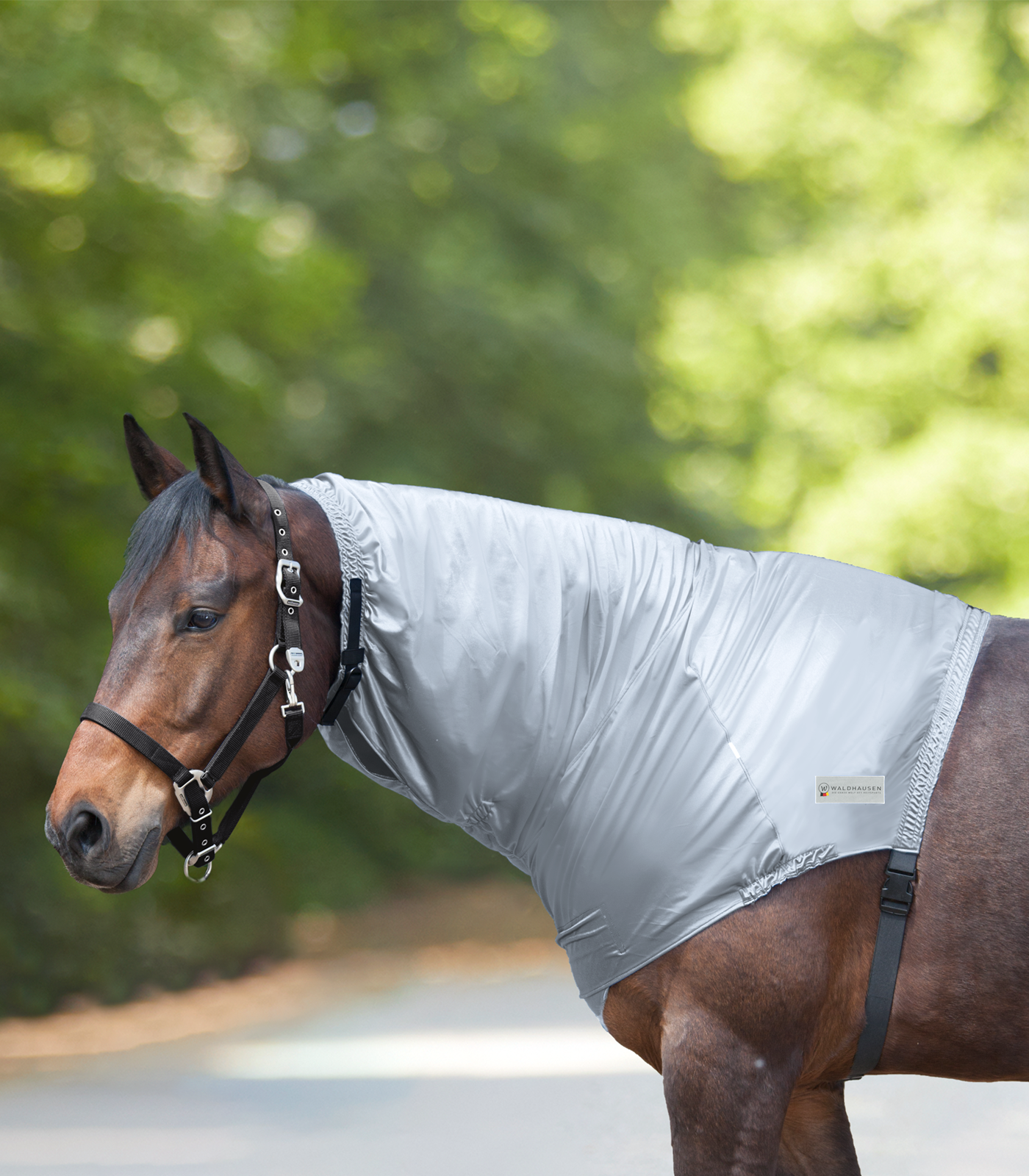 Ekzémový krční díl