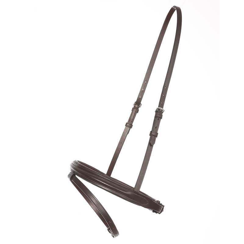 Anglický nánosník