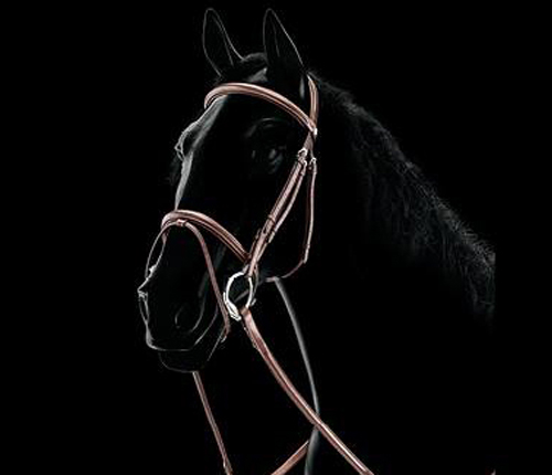 Uzdečka Equiline Classic