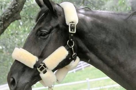 Beránkový potah na poprsník CHRIST