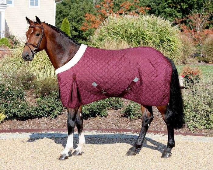 Stájová deka Quazar Move