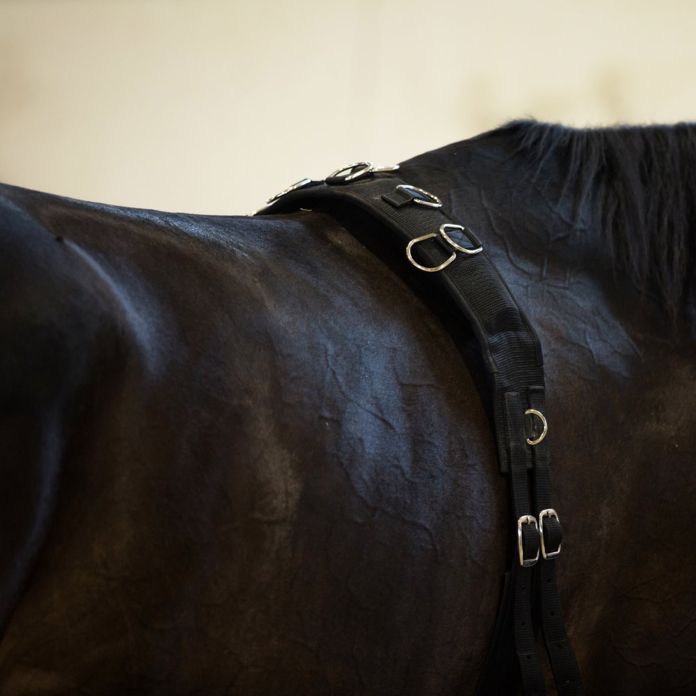 Lonžovací obřišník NYLON