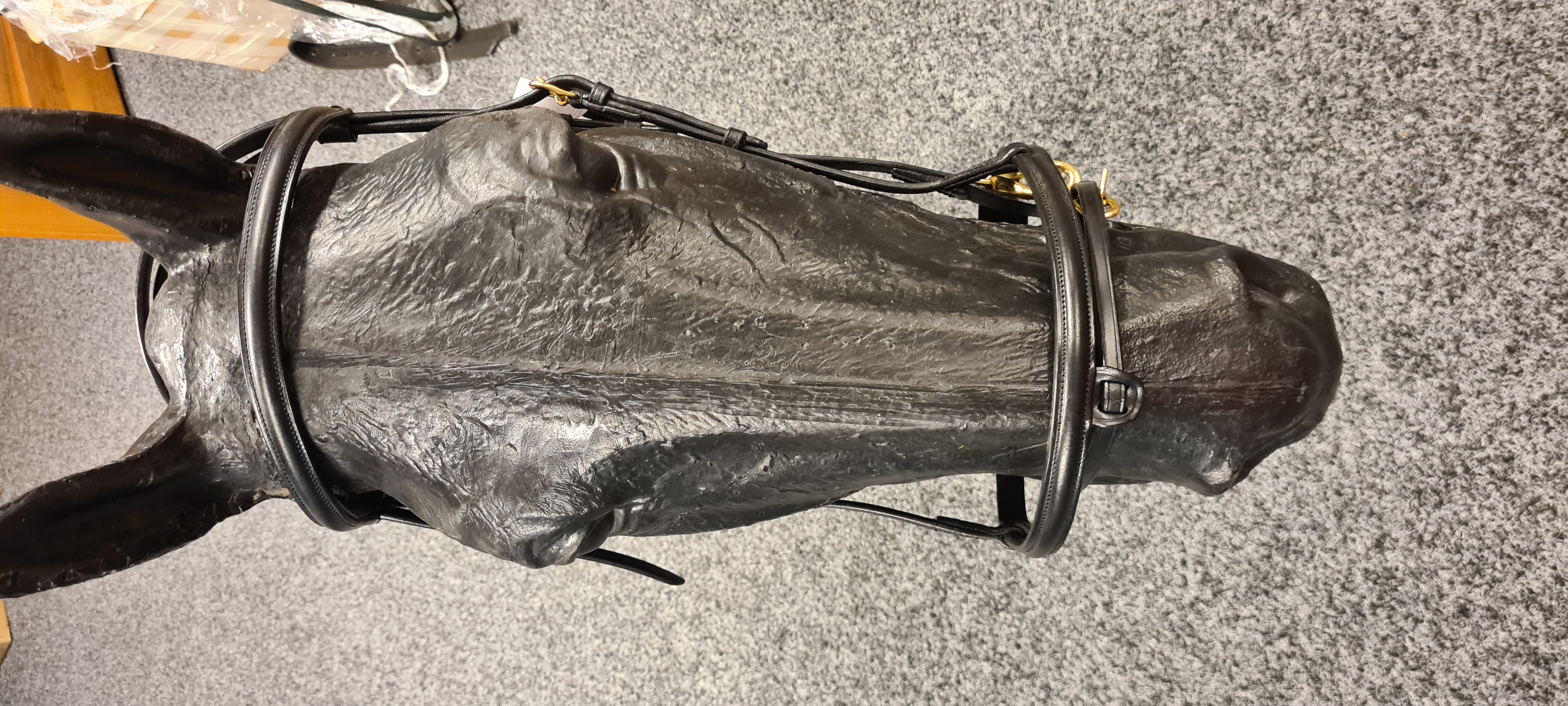 Uzdečka s kombinovaným nánosníkem