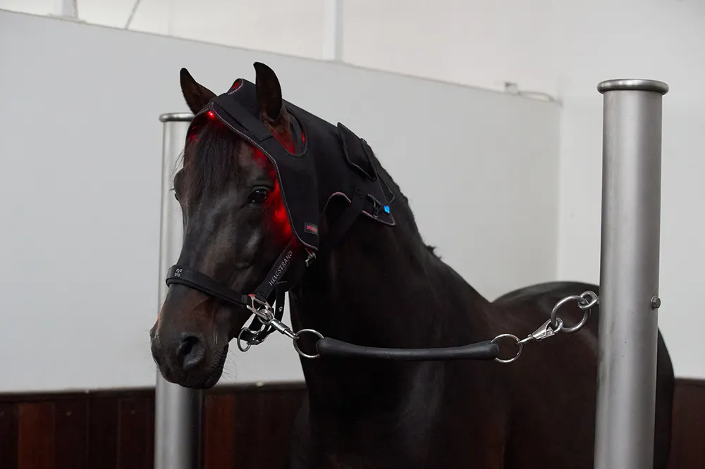 Infrapower Poll Cap - K ZAPŮJČENÍ