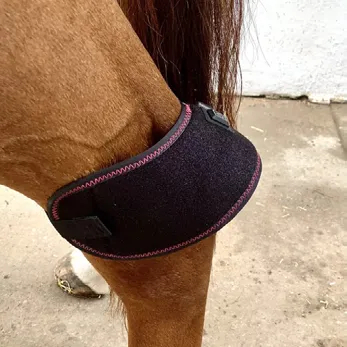 Infrapower Zvony - K ZAPŮJČENÍ