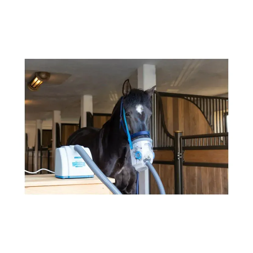 Síťový ultrazvukový inhalátor Hippomed AirOne set s maskou