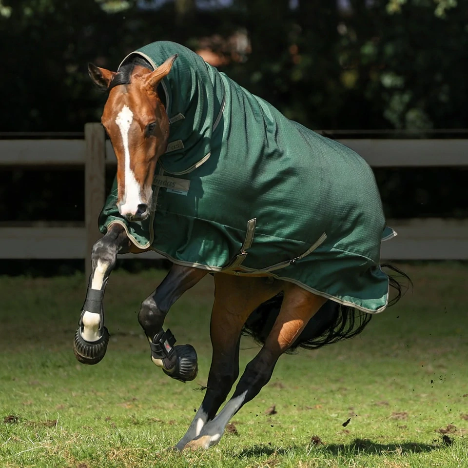 Termodeka výběhová Bucas Freedom 300gr s krkem