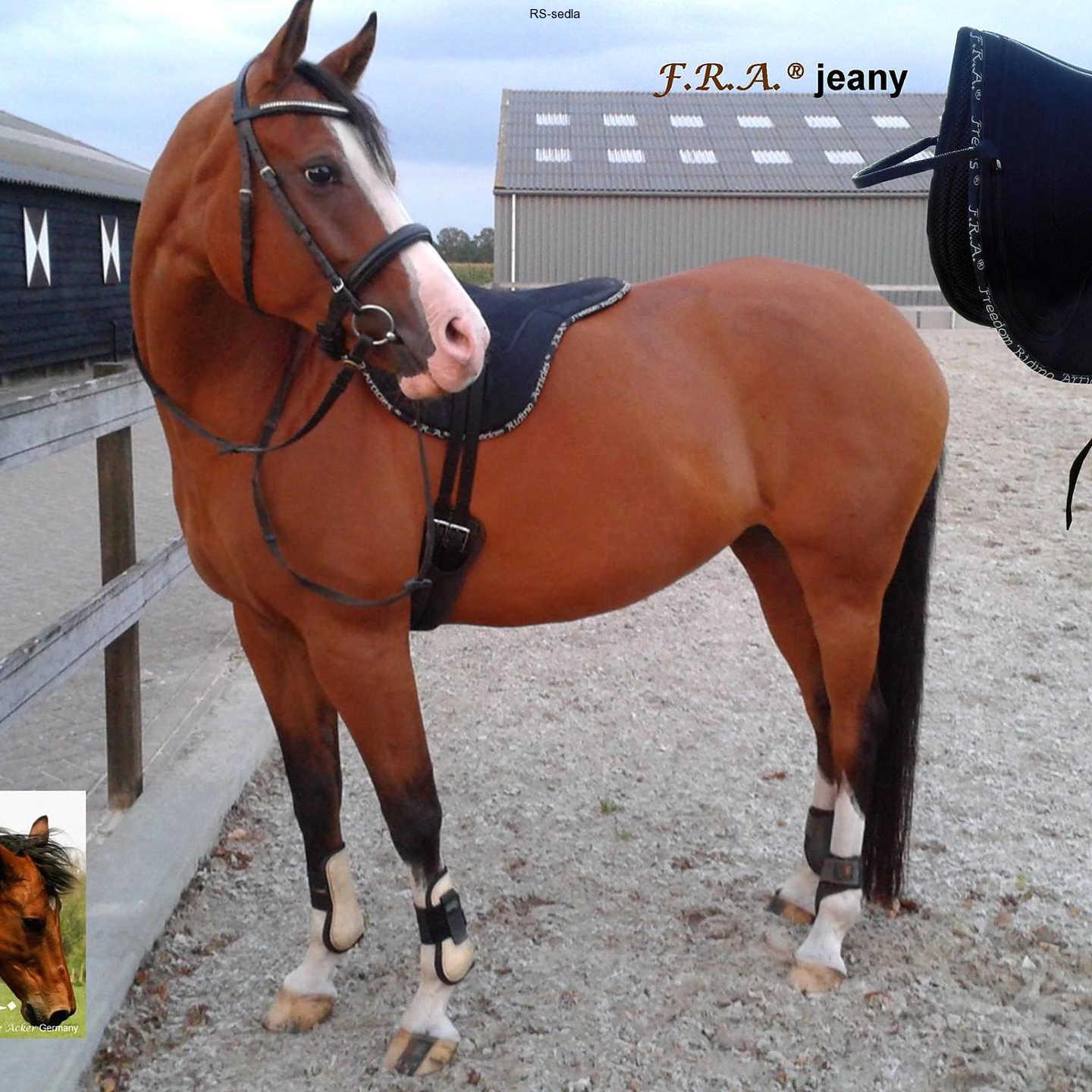 Jezdecký pad F.R.A. Jeany