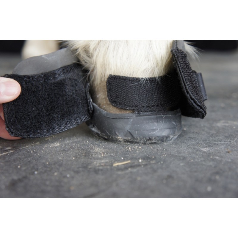 Boty pro koně Cavallo CLB