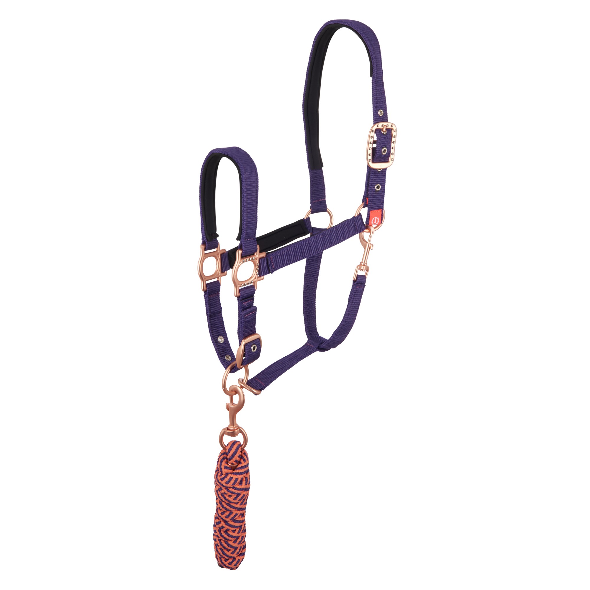 SET ohlávka s vodítkem FUNDAY