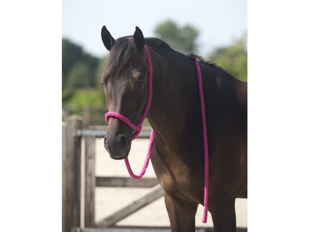 Provazová ohlávka i s vodítkem