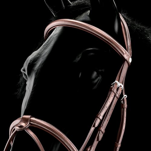 Uzdečka Equiline Flash