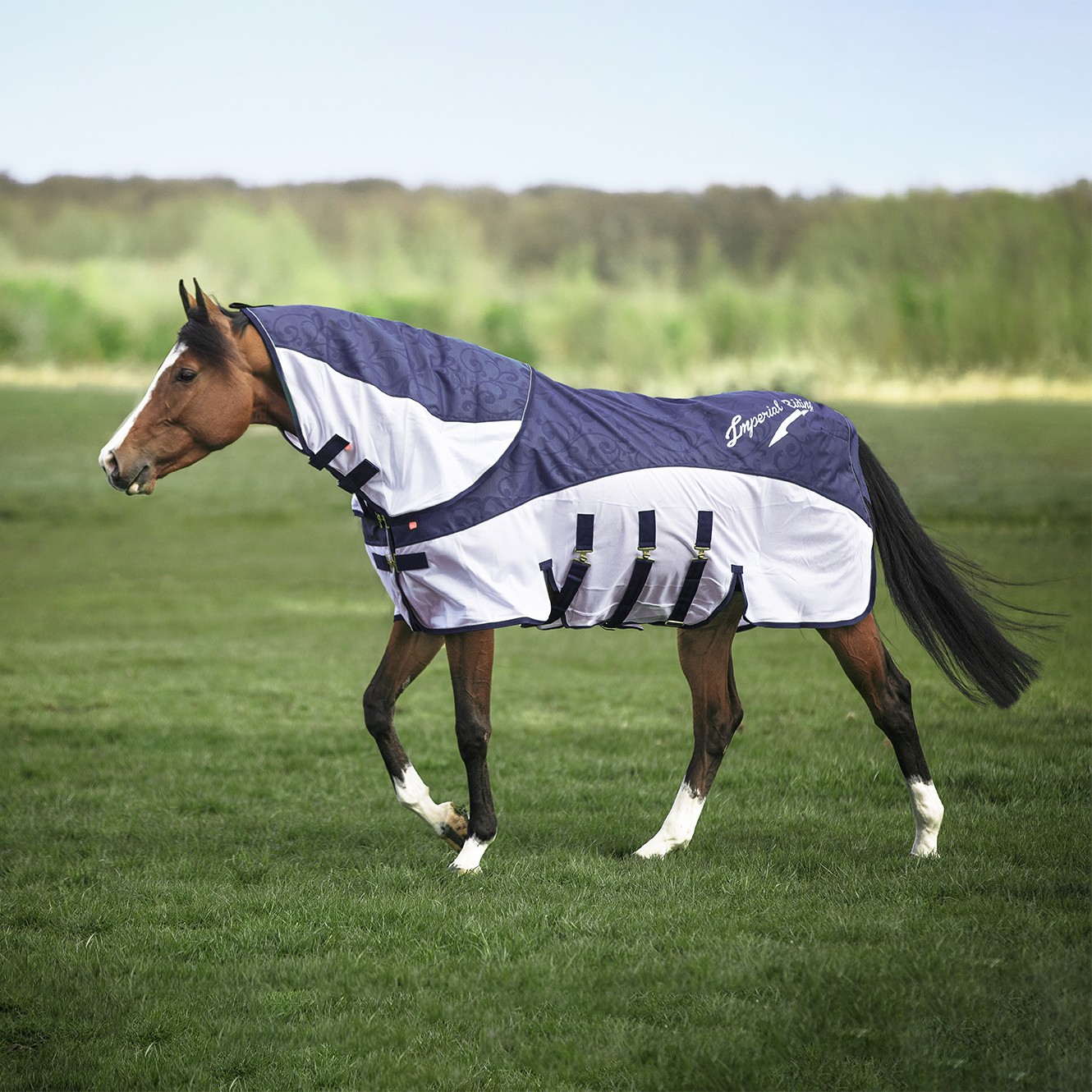 Síťová deka IRHSuper-dry