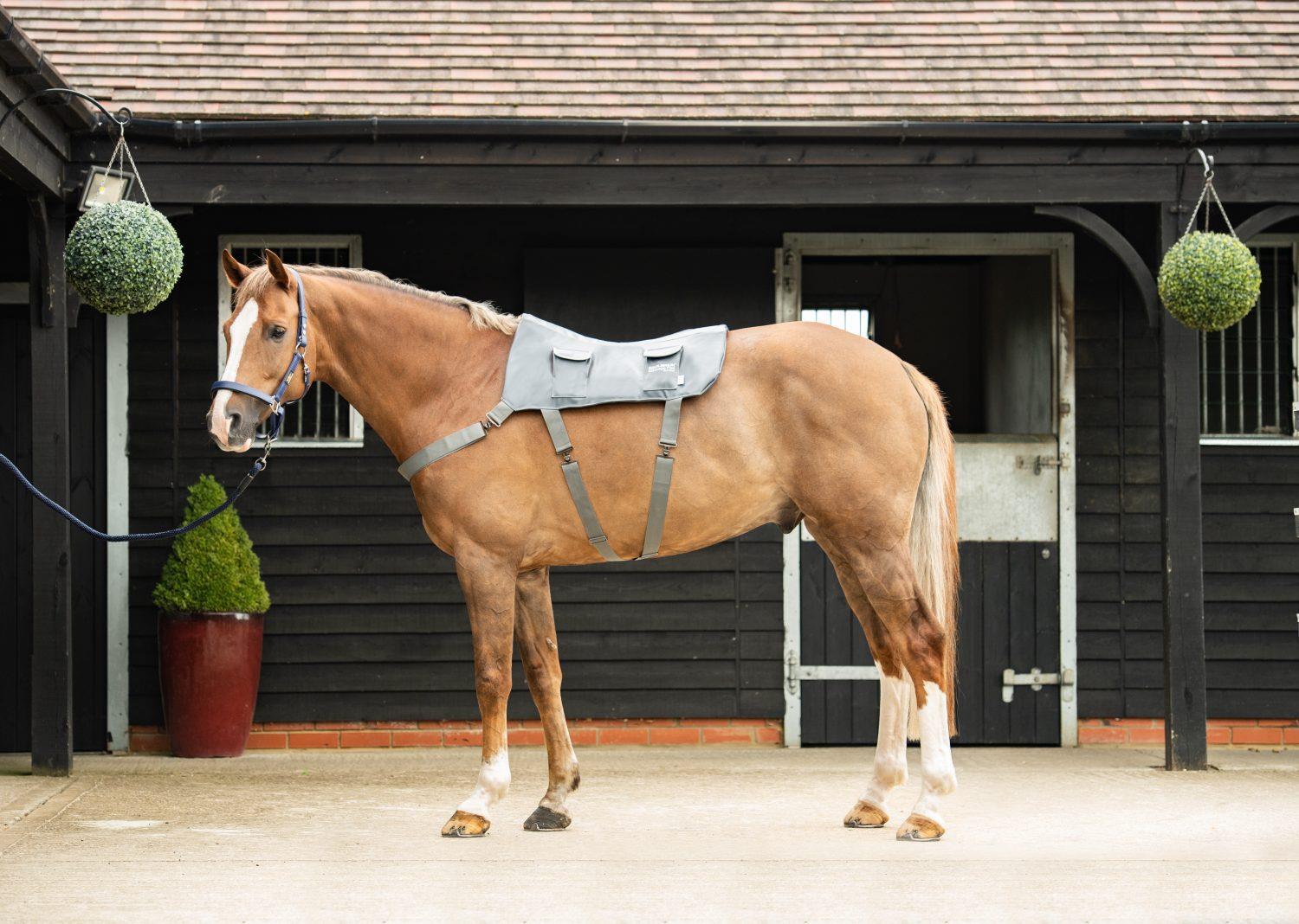 Terapeutická masážní deka Equilibrium Therapy Masage Pad