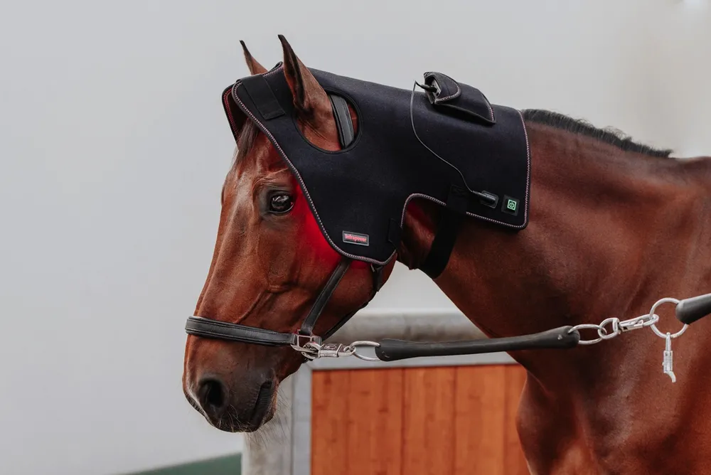 Infrapower Poll Cap - K ZAPŮJČENÍ