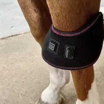 Infrapower Zvony - K ZAPŮJČENÍ