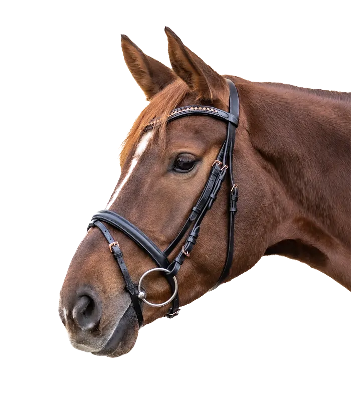 Uzdečka STAR ROSEMARY