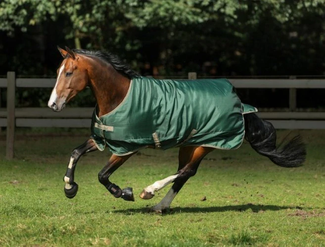 Termodeka výběhová Bucas Freedom 300gr kolekce 2024/2025