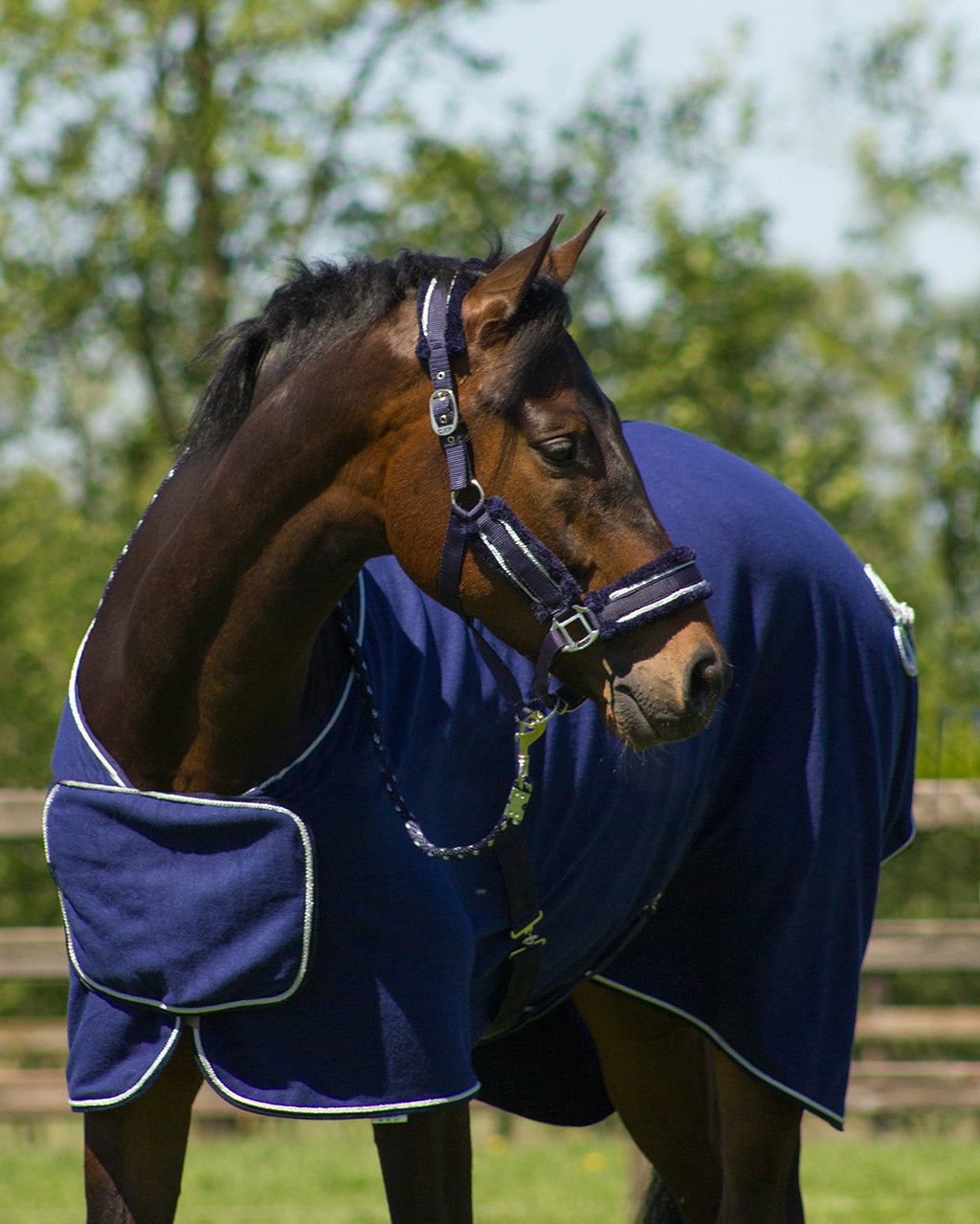 Odpocovací fleece deka s ornamentem