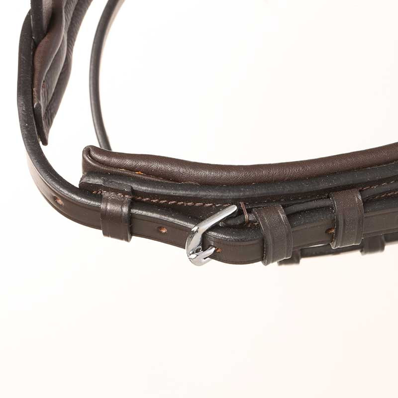 Anglický nánosník