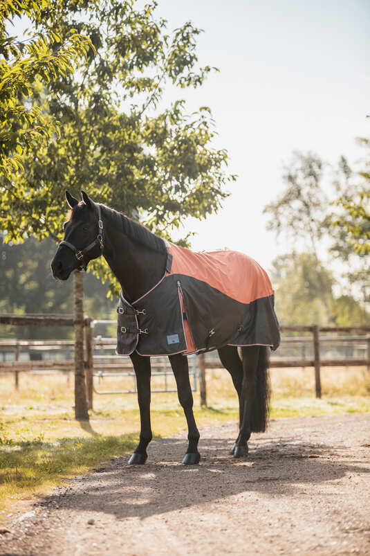 Deka LUCERNE výběhová, 250g