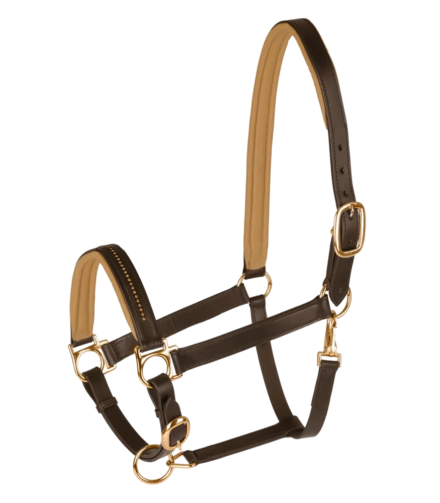 Ohlávka kožená STAR DIAMOND