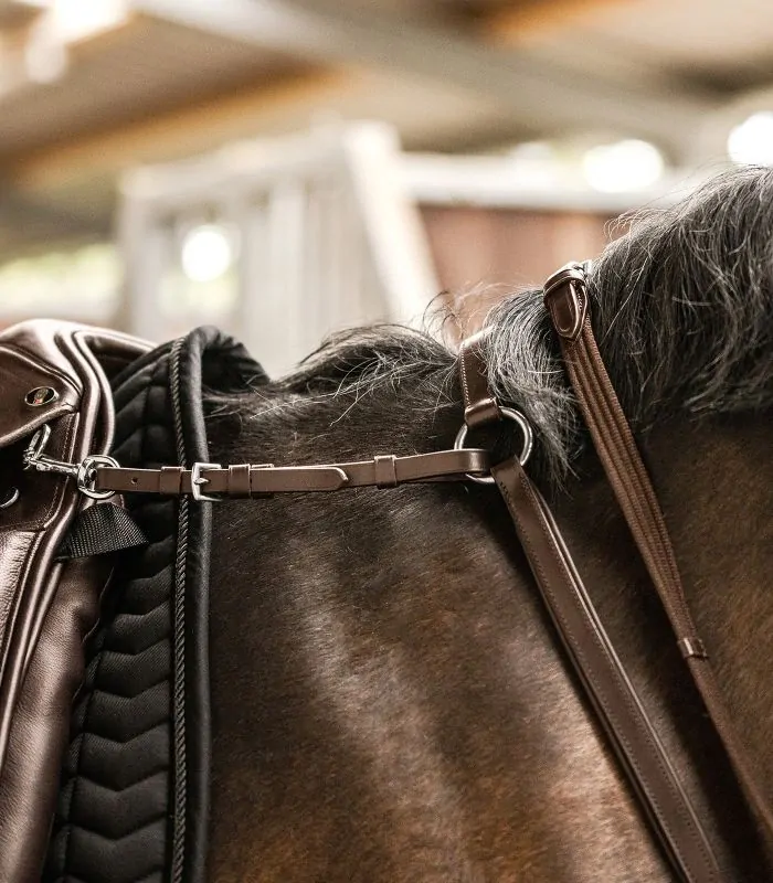 Poprsník X-Line PROFESSIONAL