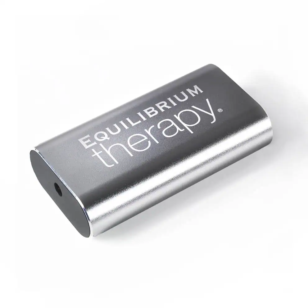 Terapeutická masážní deka Equilibrium Therapy Masage Pad