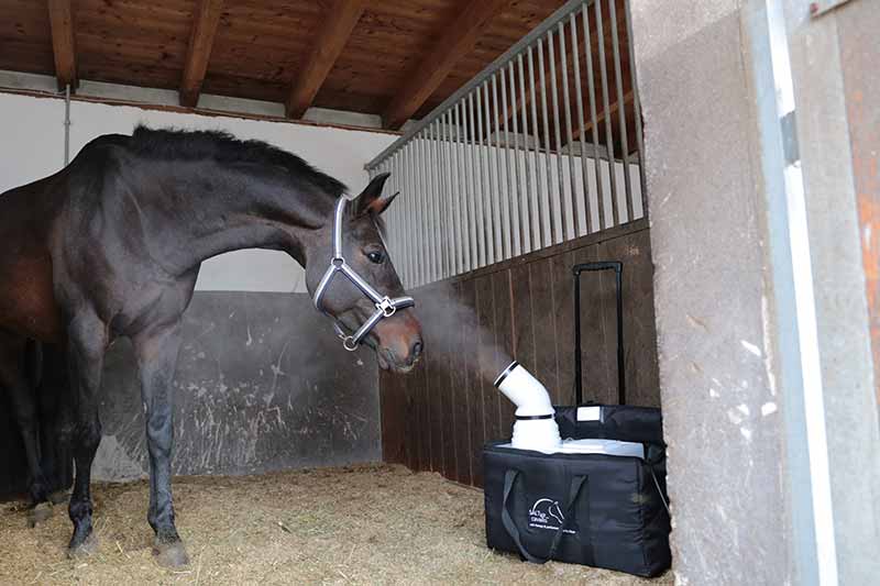 Solný generátor SALTair Cavallo