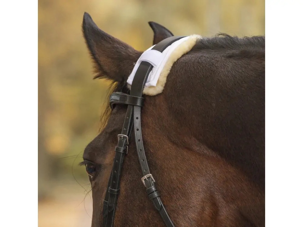 Chránič na uzdečku - nátylník/nánosník