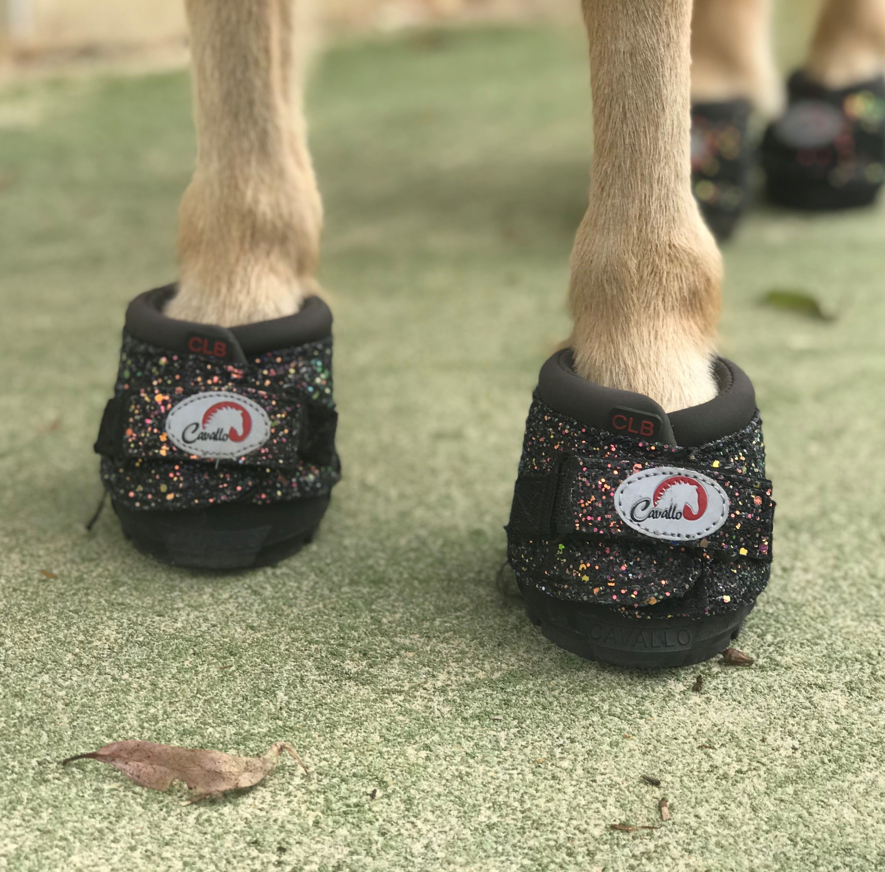 Boty pro koně Cavallo CLB Bling
