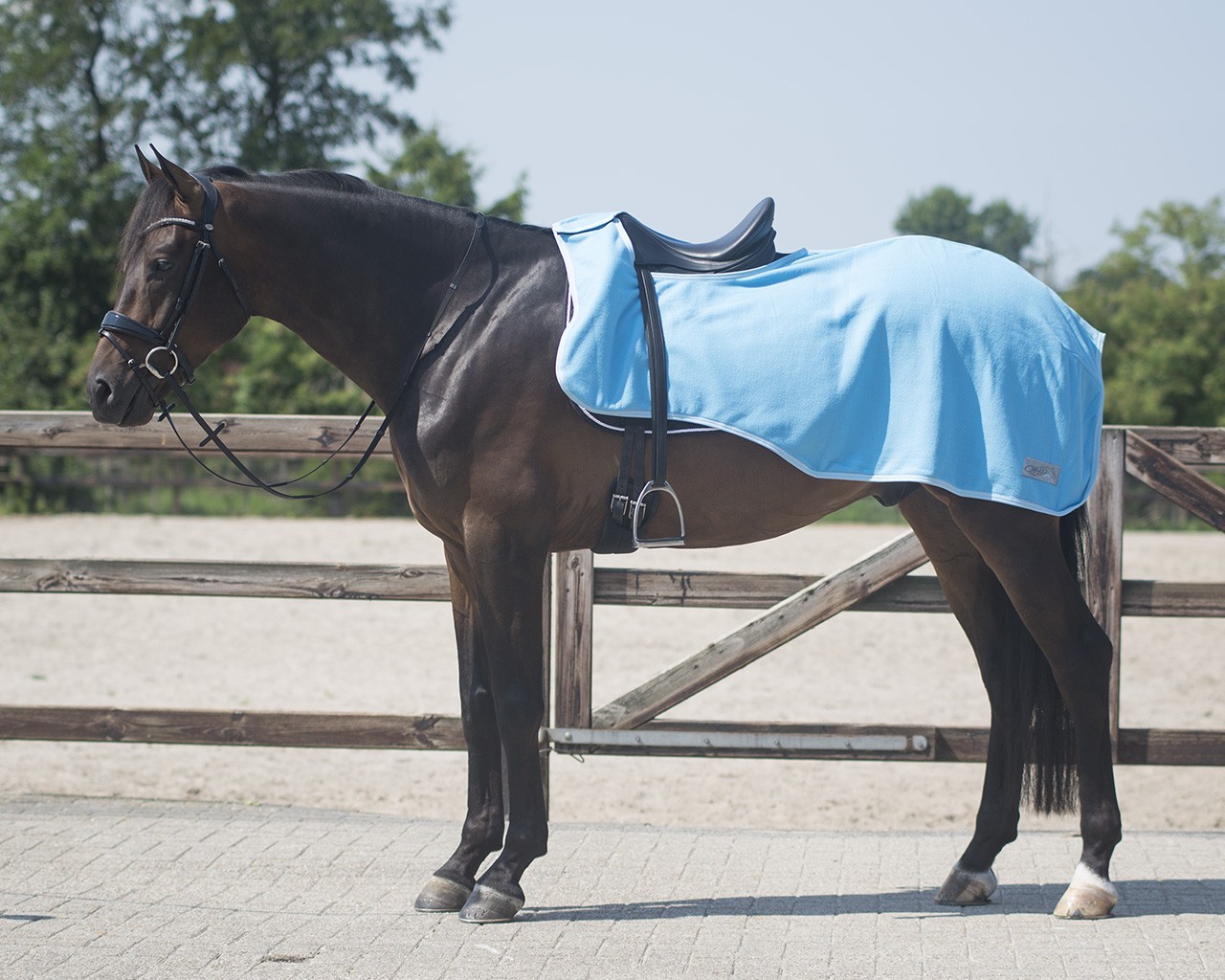 Fleece bederní deka COLOUR od QHP