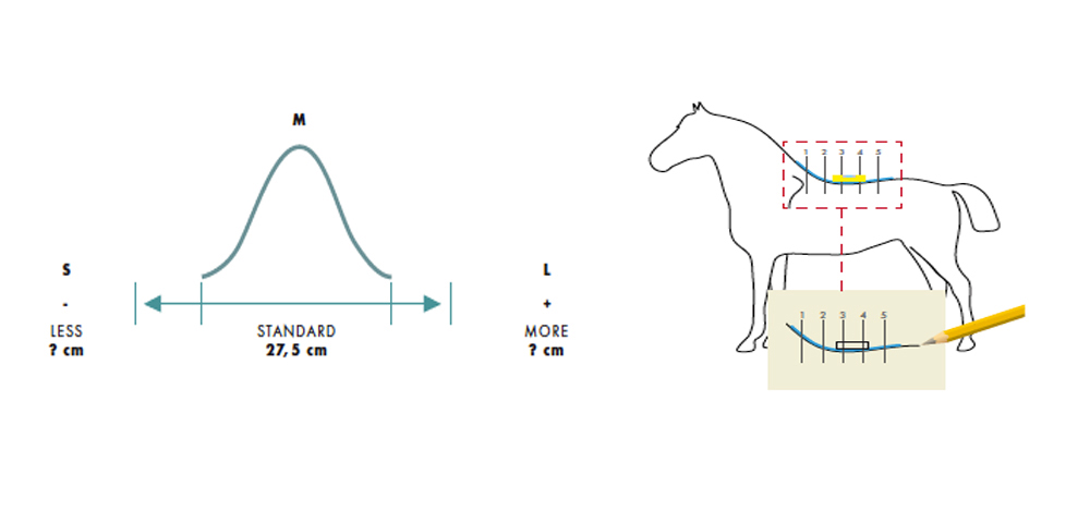Drezurní sedlo Contest