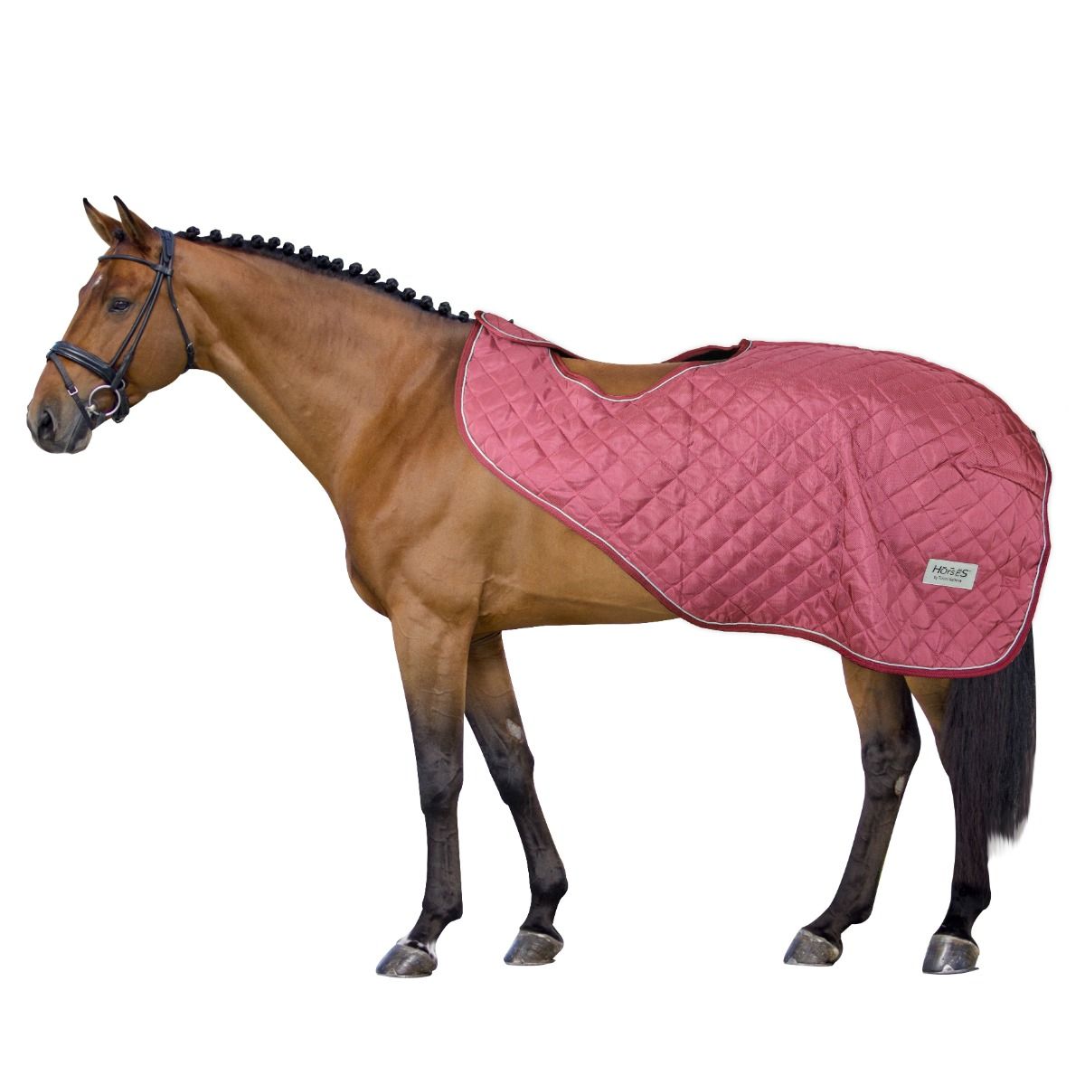 Bederní deka Quazar 160gr