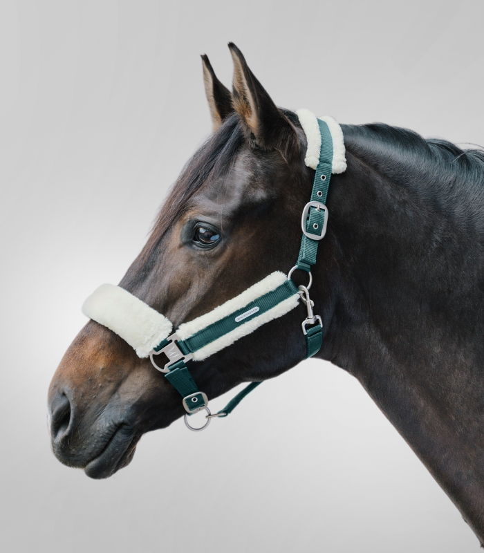 Ohlávka s umělým beránkem