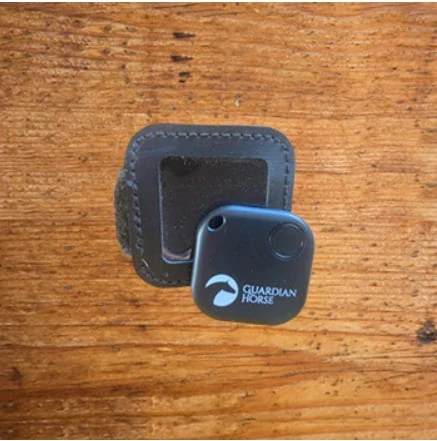 Bezpečnostní zařízení Guardian Horse