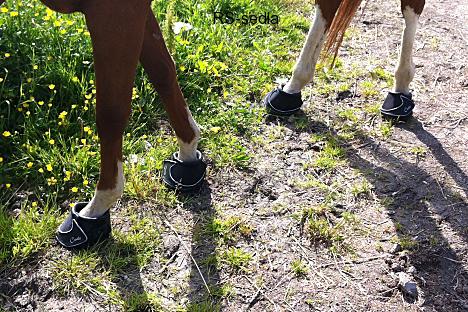 Boty pro koně Cavallo Sport Slim