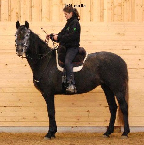 Fellsattel pad Iberica Plus Christ