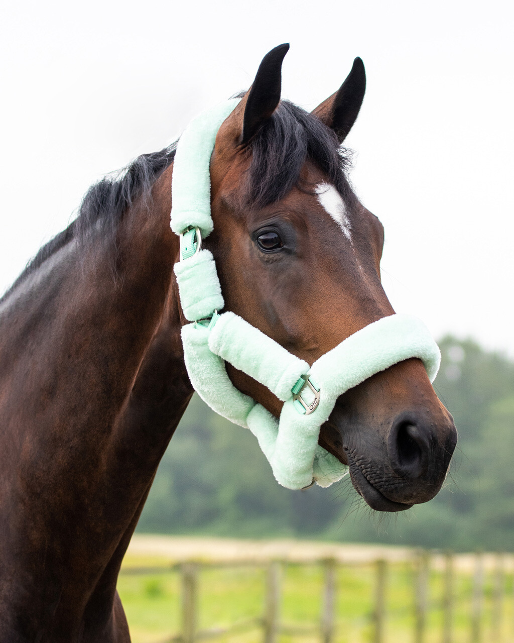 Ohlávka s beránkem ALASKA