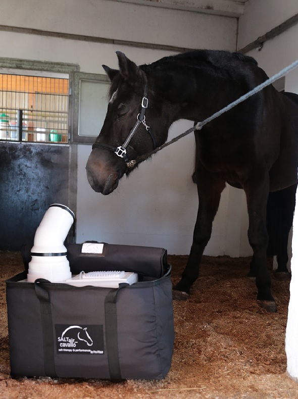Solný generátor SALTair Cavallo