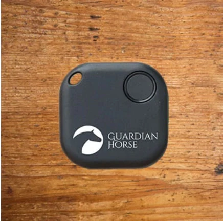 Bezpečnostní zařízení Guardian Horse