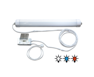 Color terapie ADVANCED